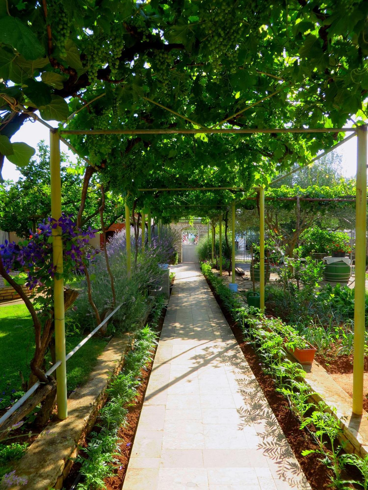 Beach Apartments Roza - The Garden Apartment Biograd Na Moru Exterior foto