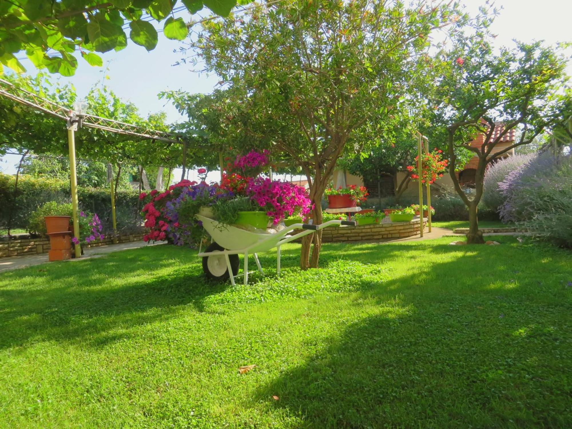 Beach Apartments Roza - The Garden Apartment Biograd Na Moru Exterior foto